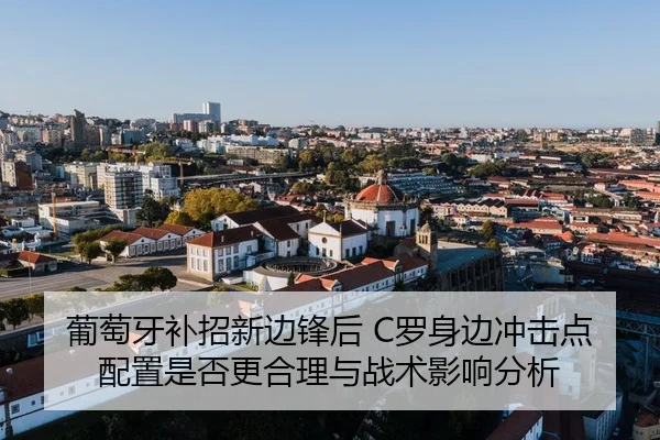 pu-tao-ya-bu-zhao-xin-bian-feng-hou-luo-shen-bian-chong-ji-dian-pei-zhi-shi-fou-geng-he-li-yu-zhan-shu-ying-xiang-fen-xi-2-288.jpg